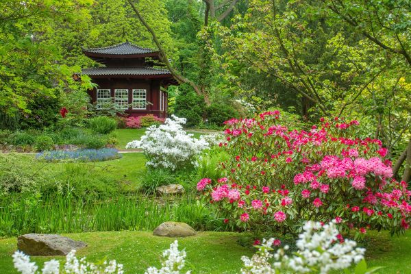 Blickfang im Japanischen Garten: Das japanische Teehaus.