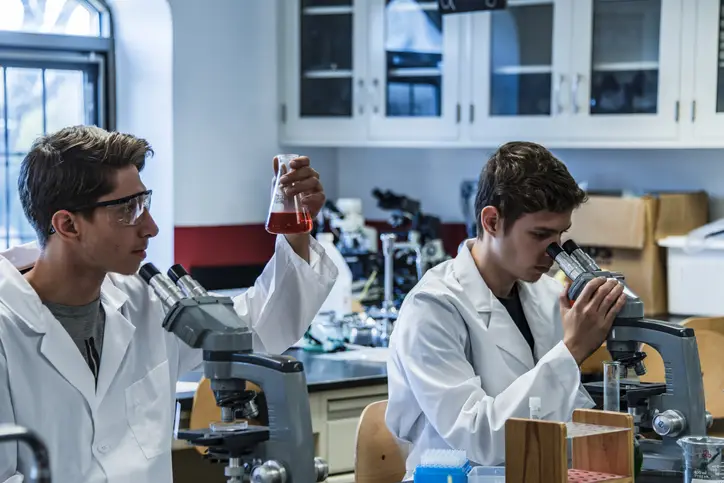 Werkstudent Stellenanzeigen